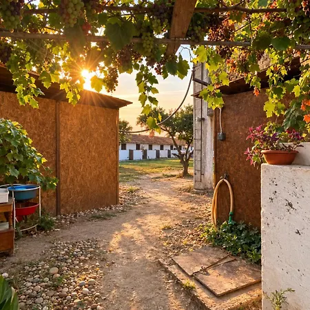 Garden - Glamping 25min De Lisboa Glamping