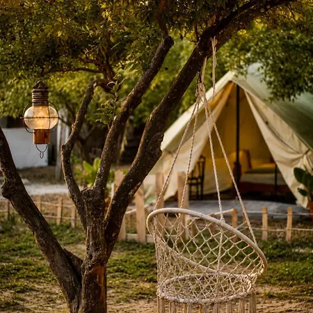 Garden - Glamping 25min De Lisboa * Montijo
