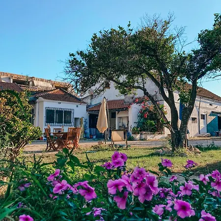 Tente de luxe Garden - Glamping 25min De Lisboa Montijo