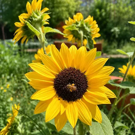 Garden - Glamping 25min De Lisboa